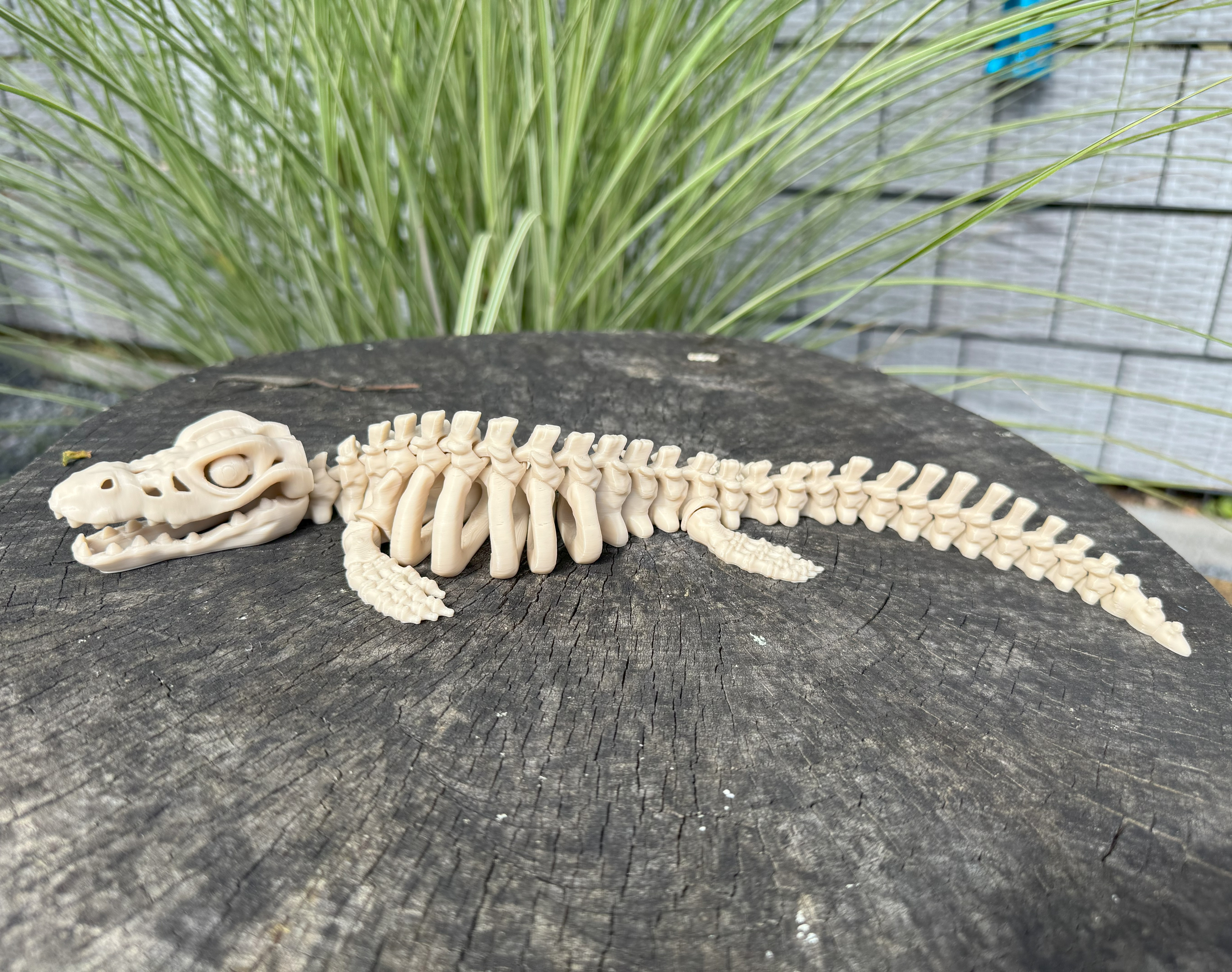 Mosasaurus Flexi Ansicht 6